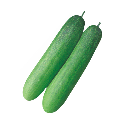 Cucumber Seed