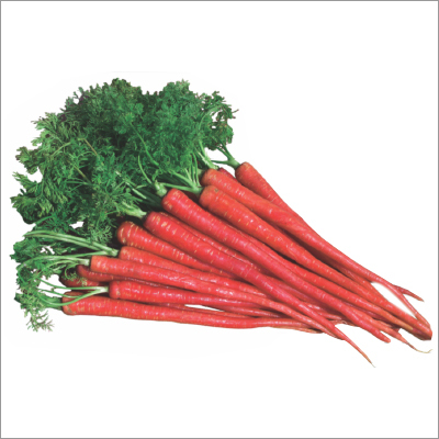 Carrot Seed