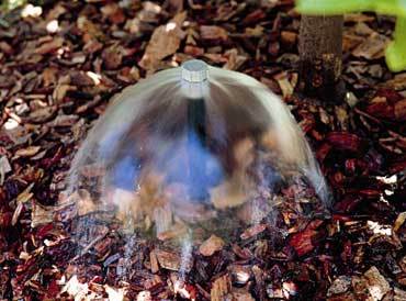 Bubbler Irrigation Services