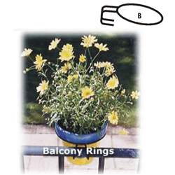 Balcony Rings