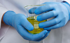 Nitrile Powder Free Gloves