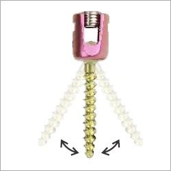 Poly Axial Pedicle Screws