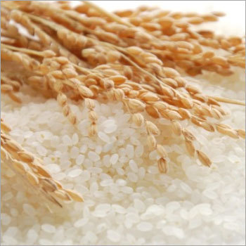 White Rice