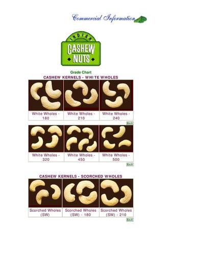 Cashew Kernels White Holes