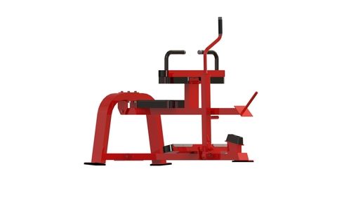 Seated Calf Machine