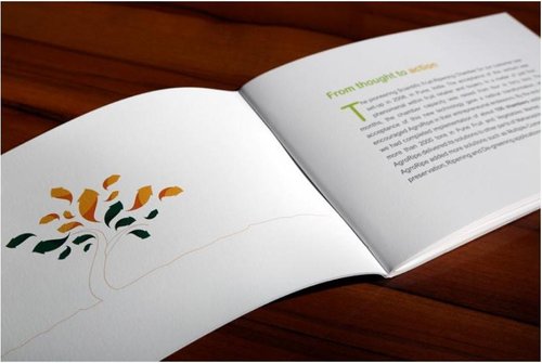 Brochure Designing Service
