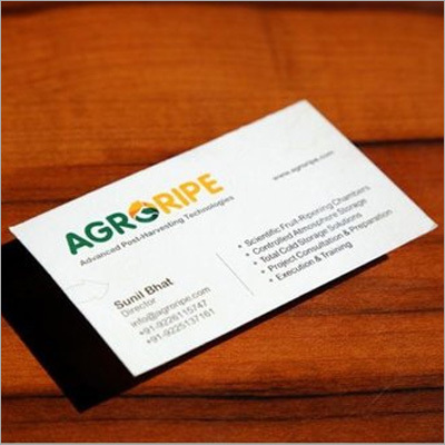 Logo Designing Service