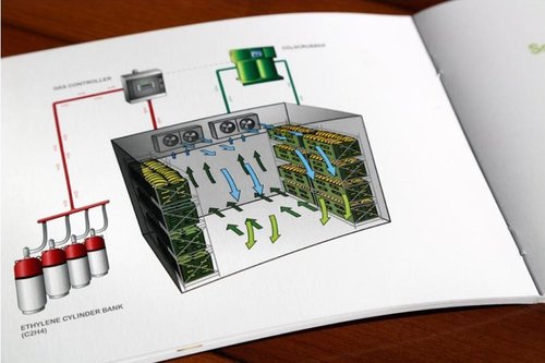 Leaflet Design Service