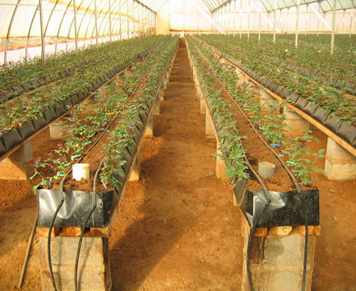 Hydroponics Trough System