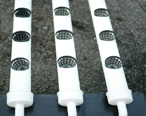 NFT System