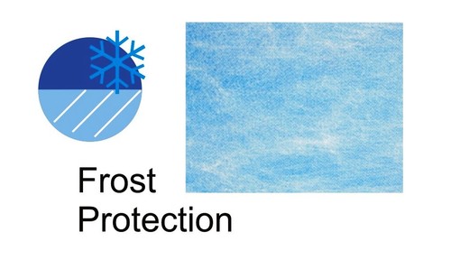 Blue Frost Protection