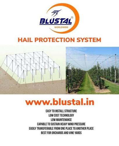 Blue Hail Protection