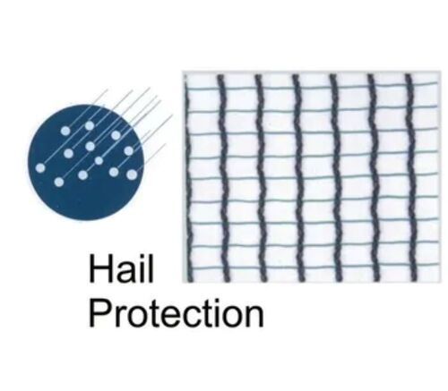 Blue Hail Protection