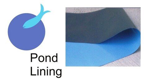 Blue Pond Lining