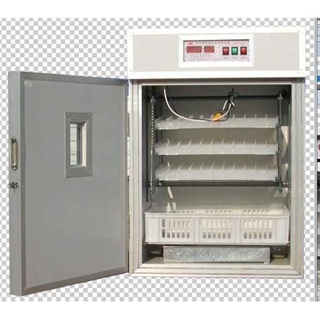 Egg Incubator