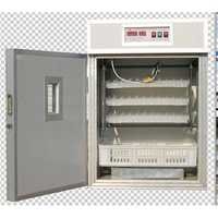 Egg Incubator