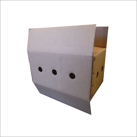 Fruit Export Corrugated Boxes
