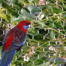 Bird Protection Netting