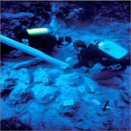 Underwater Desilting Services
