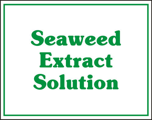 Seaweed Extract Solution