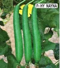 Sponge F1 Hy Nayna Gourd Seeds
