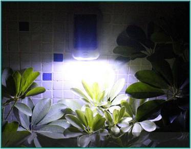 Solar Wall Mounted Light For Garden