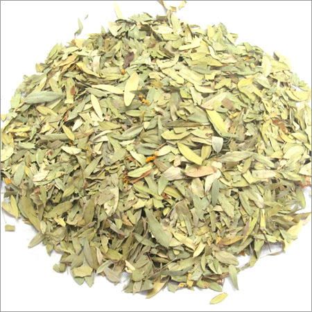 Senna Leaves