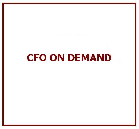 CFO on Demand Services