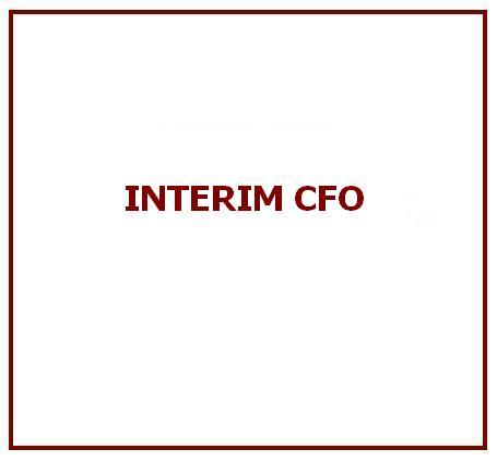 Interim CFO Services