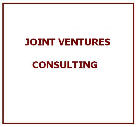 Joint Ventures Consulting