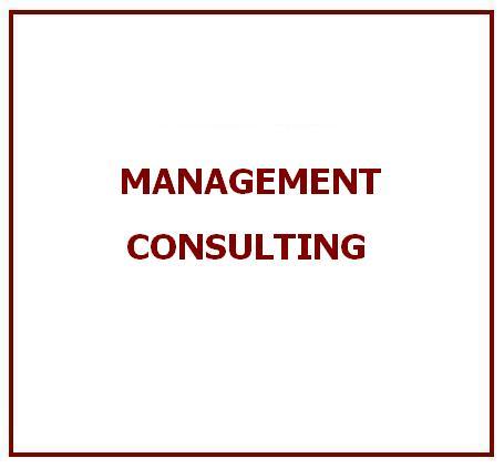Management Consulting
