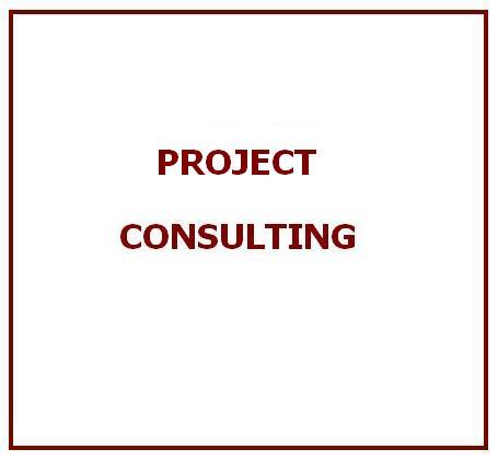 Project Consulting