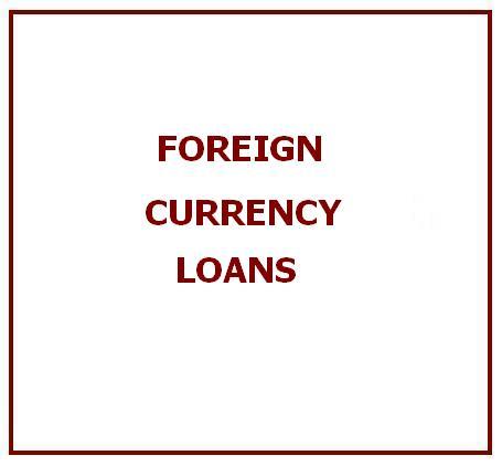 Foreign Currency Loans