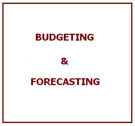 Budgeting & Forecasting Services
