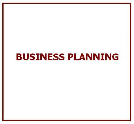 Business Planning Services