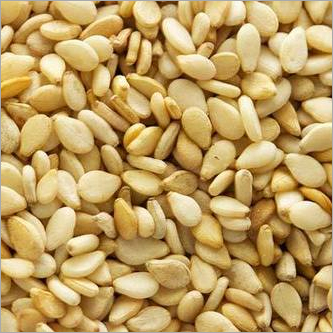 Sesame Seeds