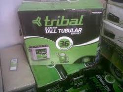 Tubular Batteries Life Span: 4 Years