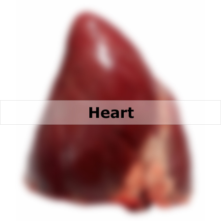 Heart Meat