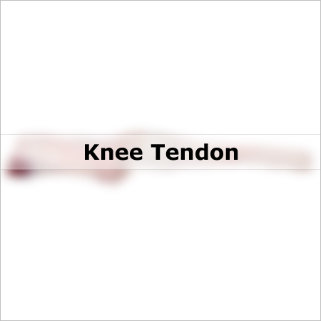 Knee Tendon Meat