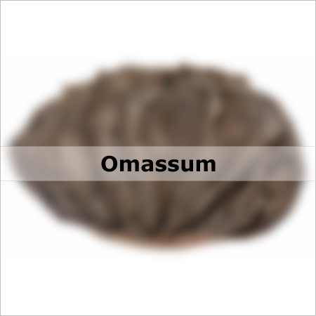 Omassum Meat