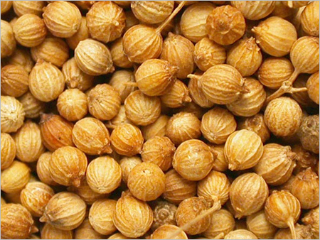 Coriander Seeds