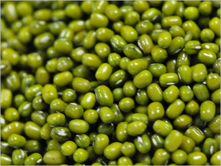 Green Mung Bean