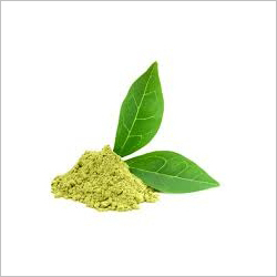Green Tea Extract - Powder, 100-200Âµm Particle Size, 98% Purity, Green Color | Boosts Immunity, Enhances Focus, Great for Skin, High Antioxidants, Improves Metabolism, Natural Product, Rich in Nutrients, Weight Management