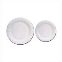 Duplex Paper Dish