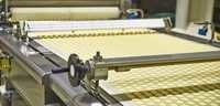Biscuit Manufacturing Consultancy