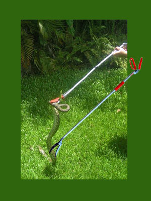 Snake Catcher Stick