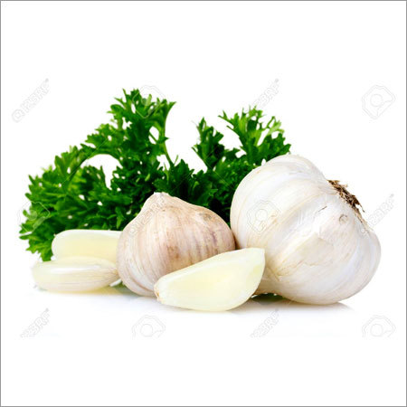 Fresh Garlic