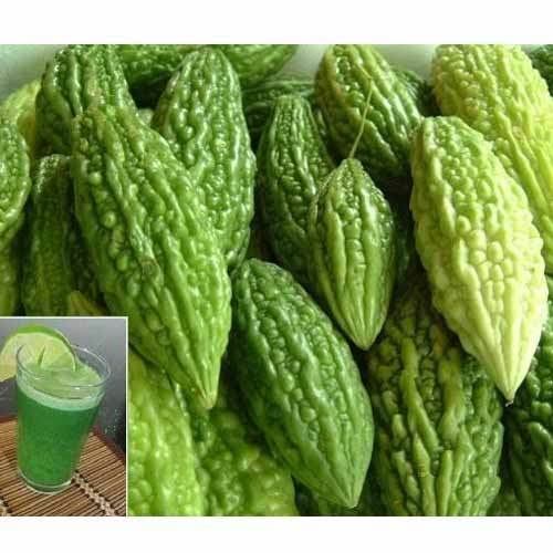 Karela Jamun Juice Machine Karela Jamun Juice Machine