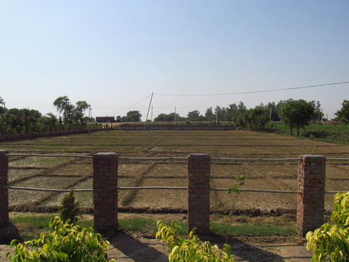 Construction & Real Estate Services (NH2 Hodal) - Variable Acres, Sandy/Clay Soil | Land Acquisition, Project Planning, Site Development, Real Estate Brokerage, Regulatory Compliance