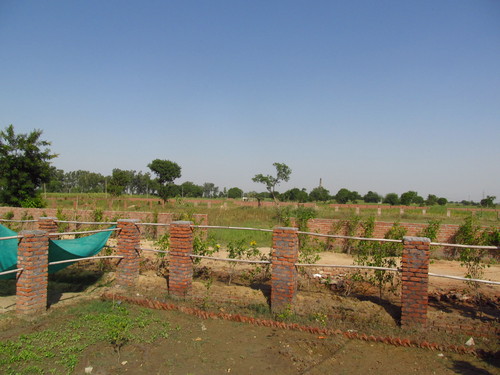 Construction & Real Estate Services (NH2 Hodal)